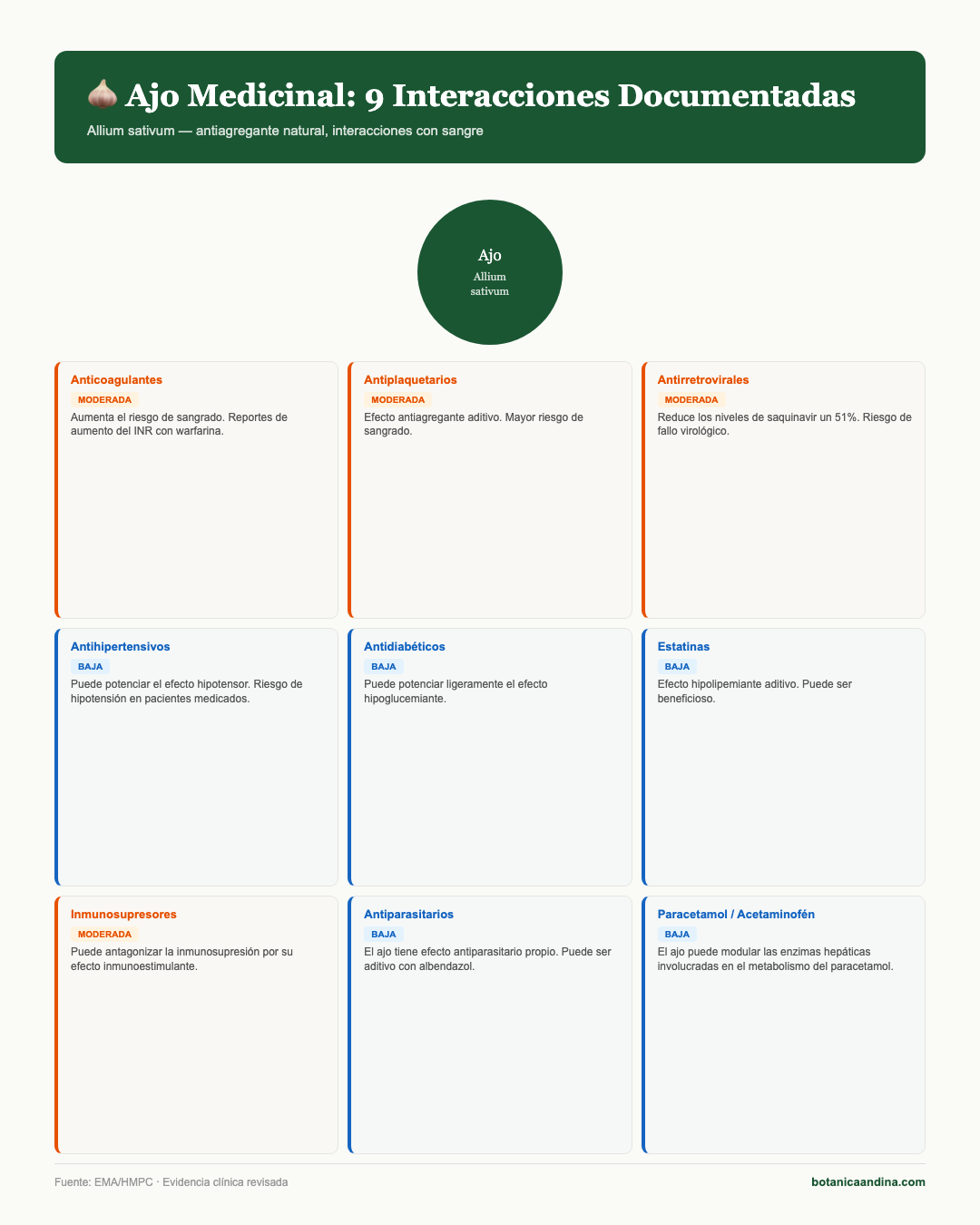 Infografía: Ajo — interacciones farmacológicas