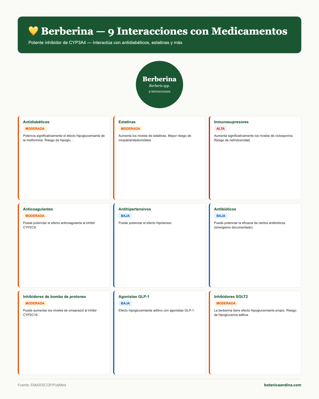 Infografía: Berberina — interacciones farmacológicas