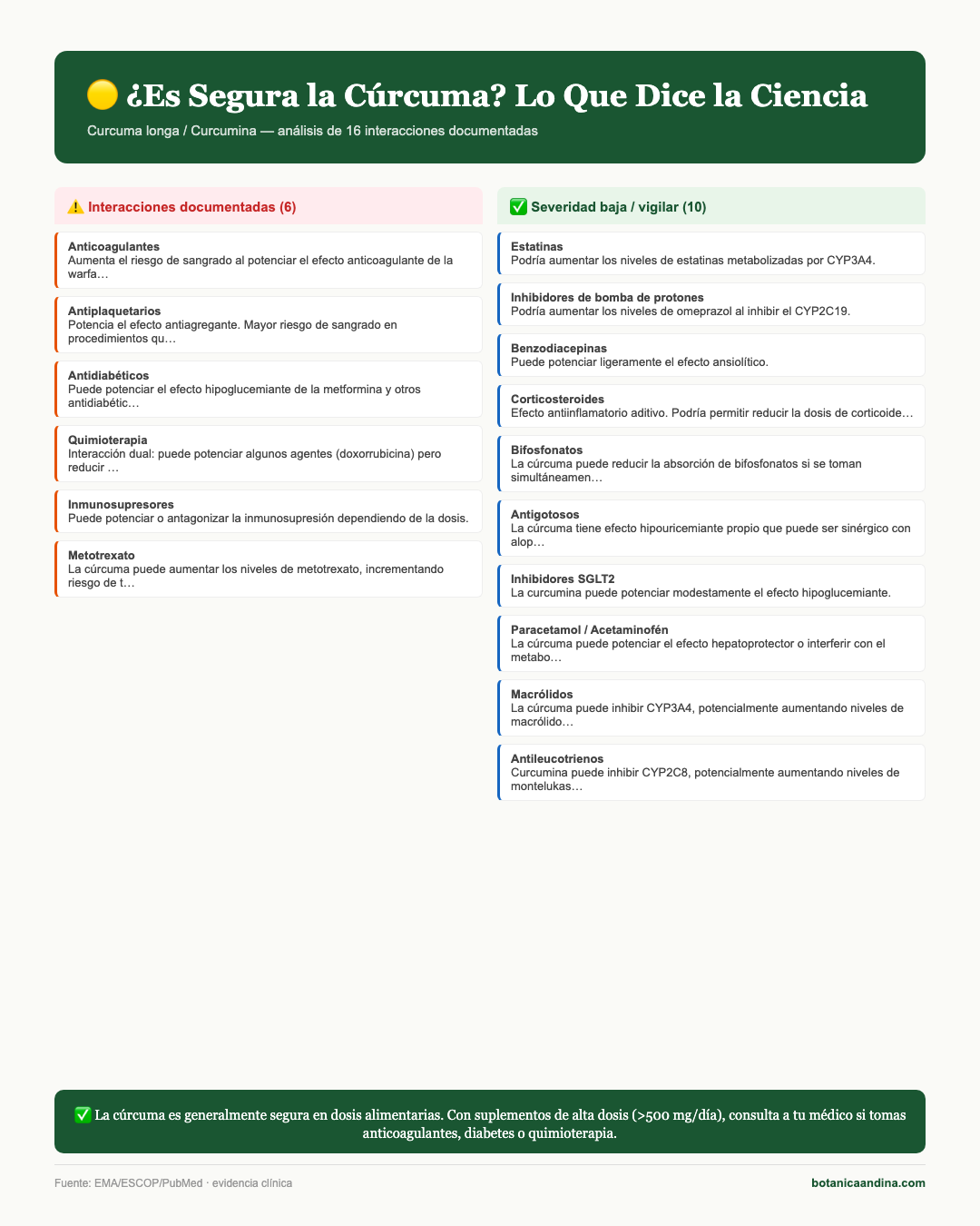 Infografía: Cúrcuma — qué dice la ciencia