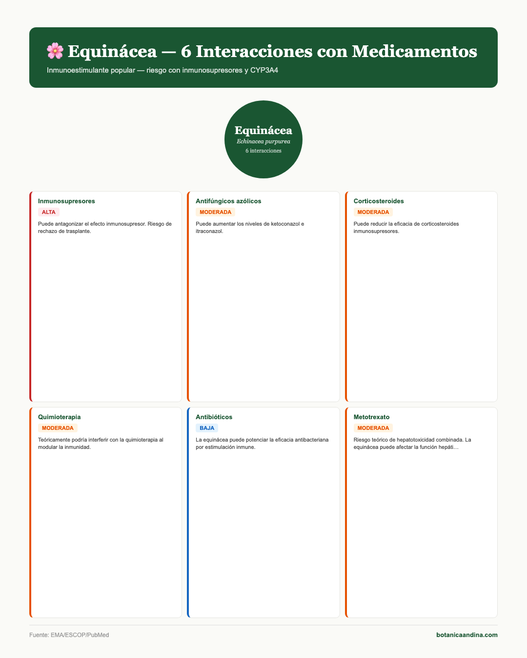Infografía: Equinácea — interacciones