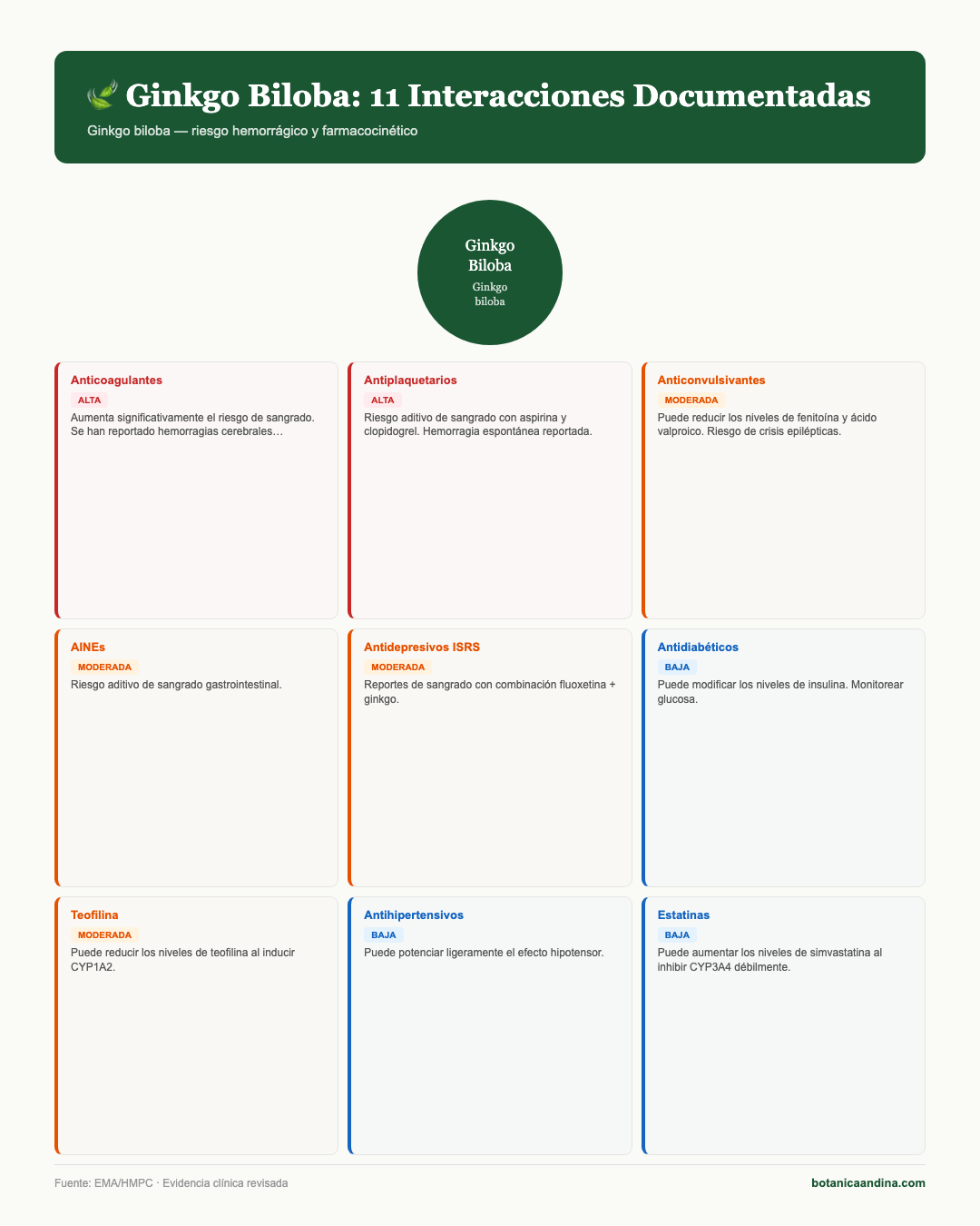 Infografía: Ginkgo biloba — interacciones
