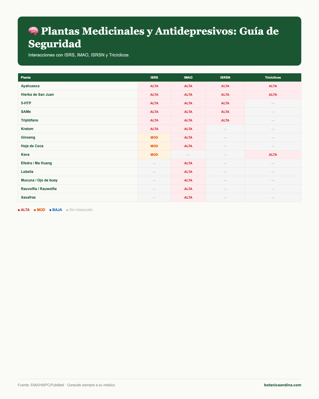 Infografía: Plantas y antidepresivos
