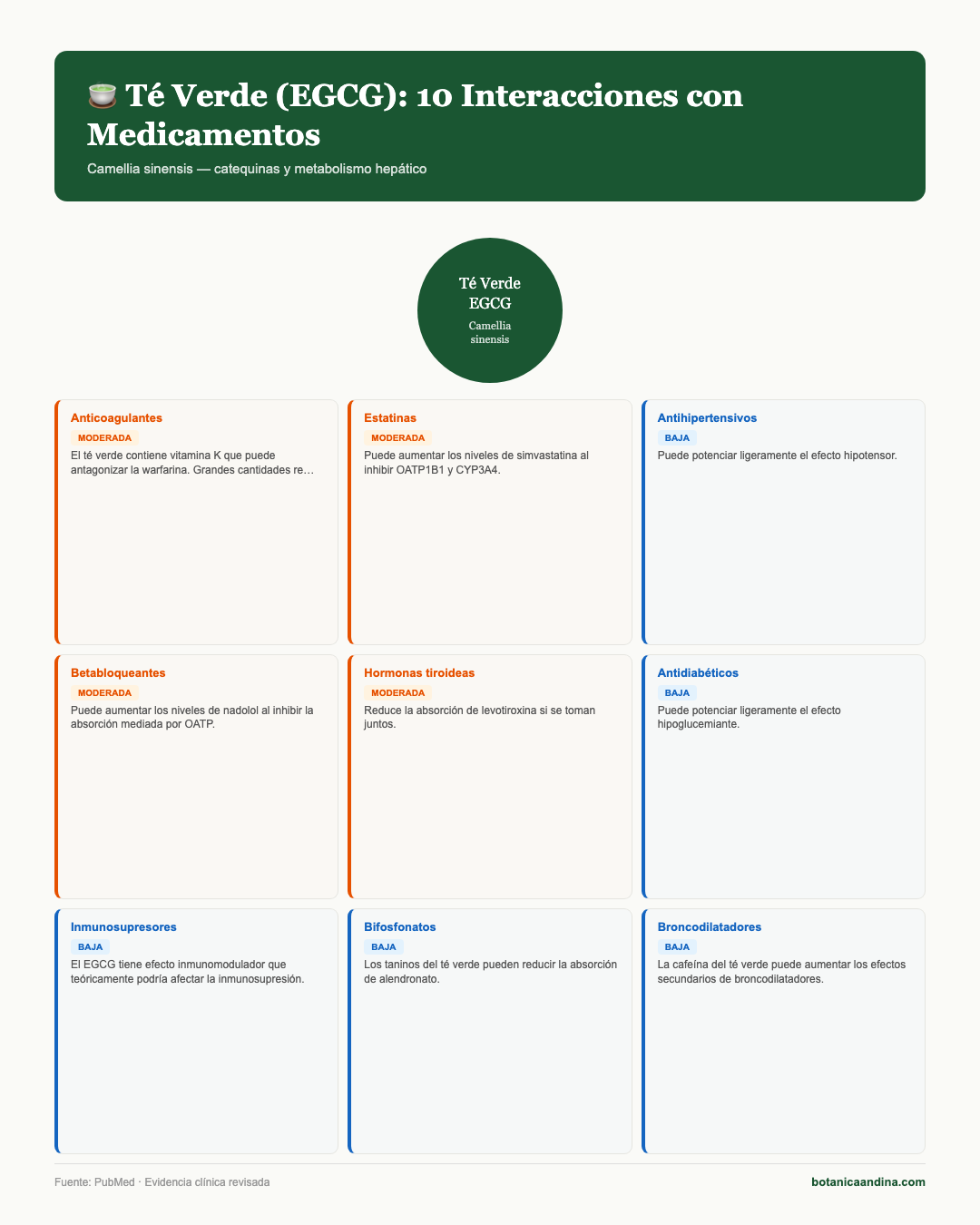 Infografía: Té verde — interacciones