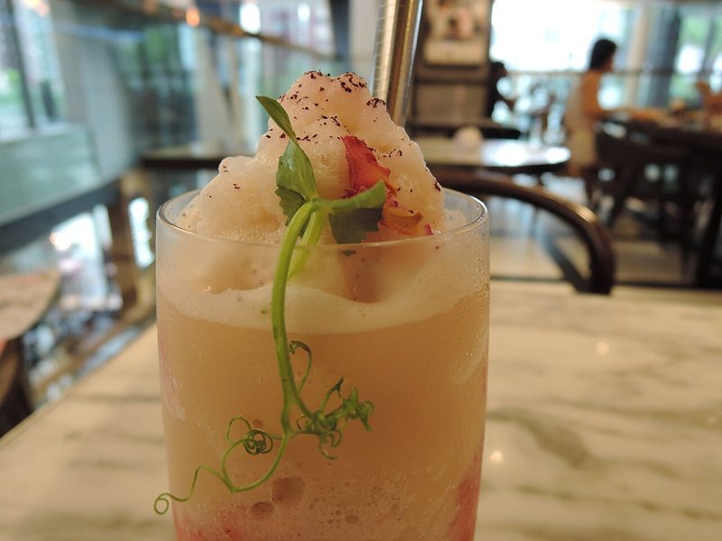 Frutos de açaí (Euterpe oleracea) y camu camu