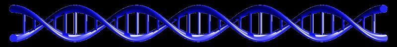 Doble hélice de ADN y protección antigenotóxica